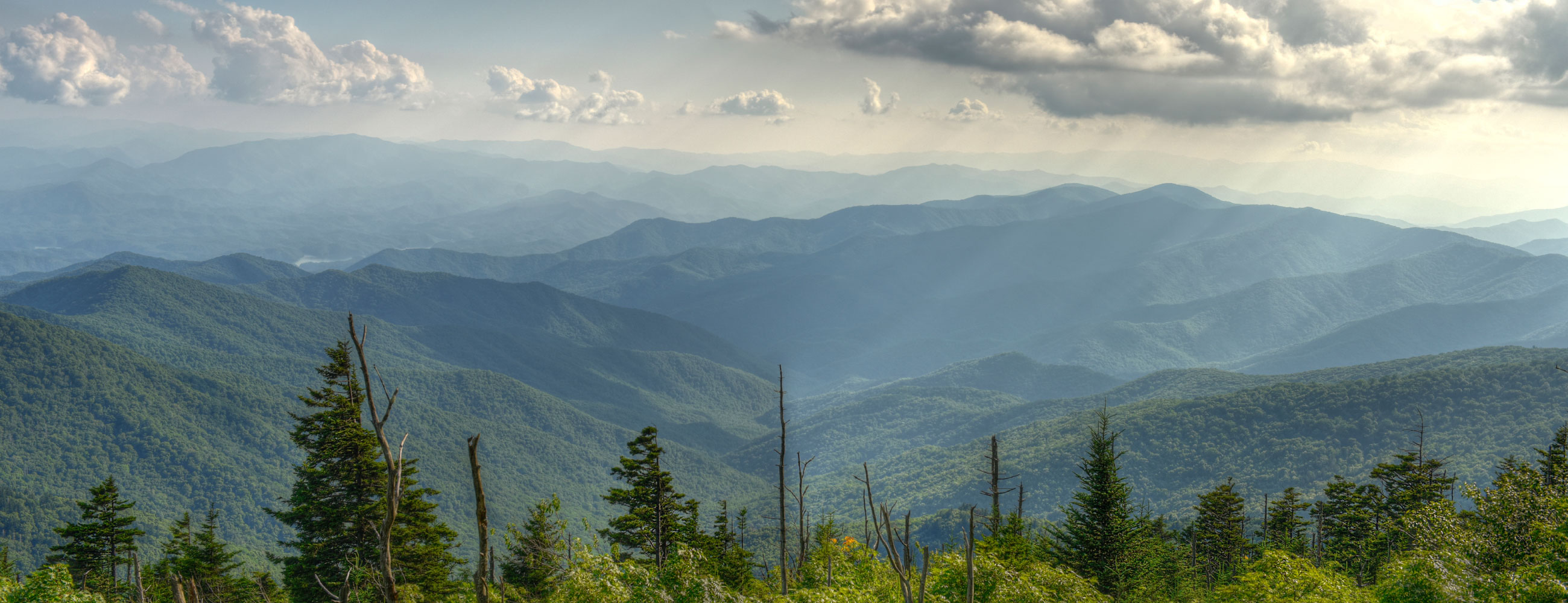 Compsight Technologies